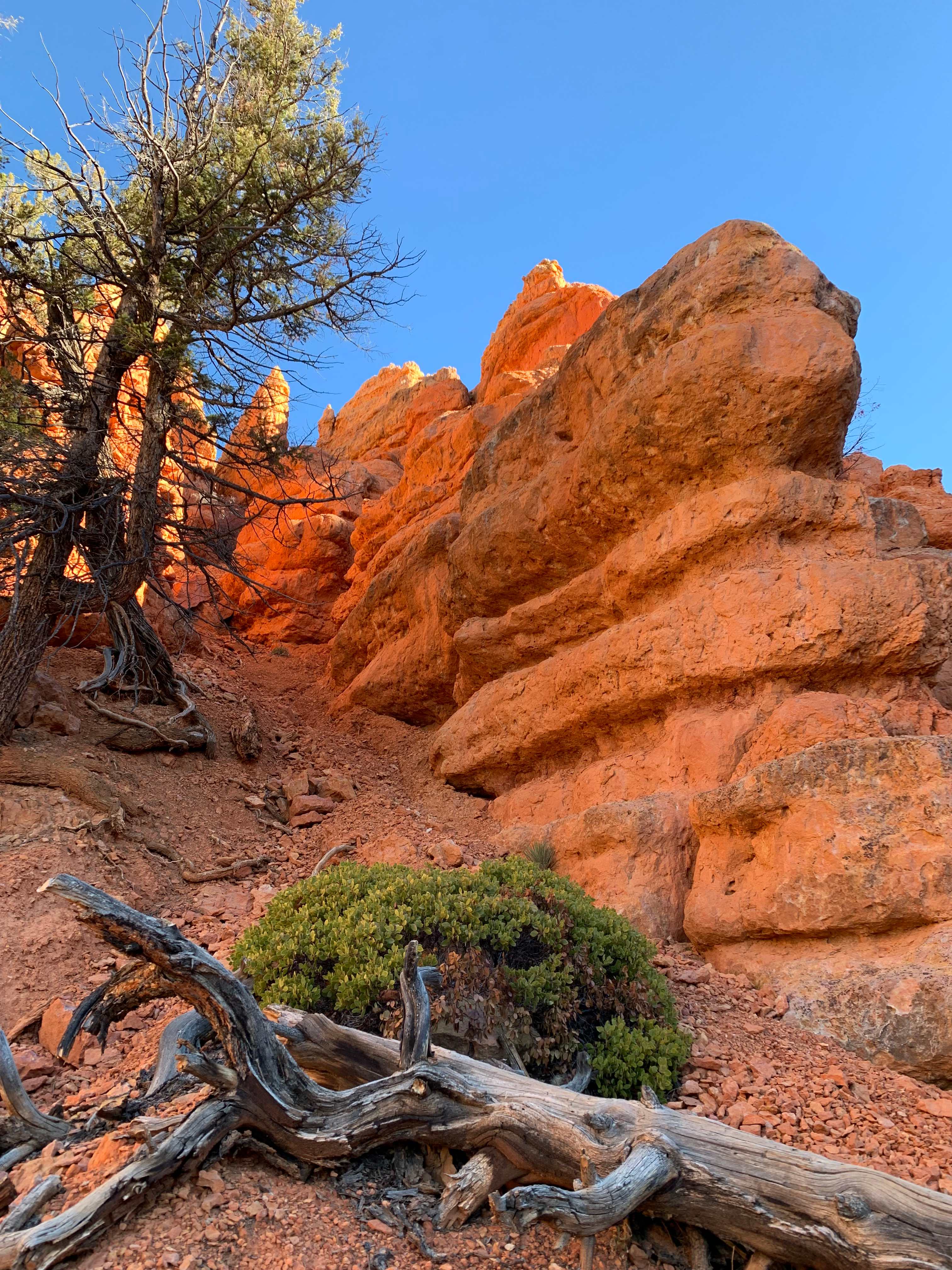 Red Canyon